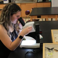 A biology and environmental studies crew student studies a sample through a microscope