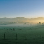 Mist over the Swannanoa Valley