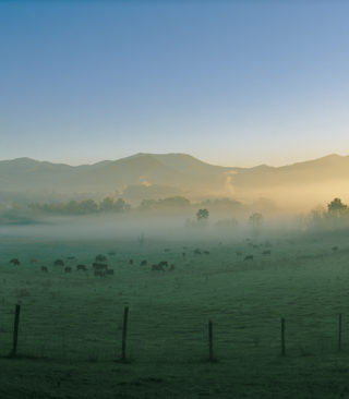 Mist over the Swannanoa Valley