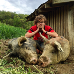 Thom with Sows