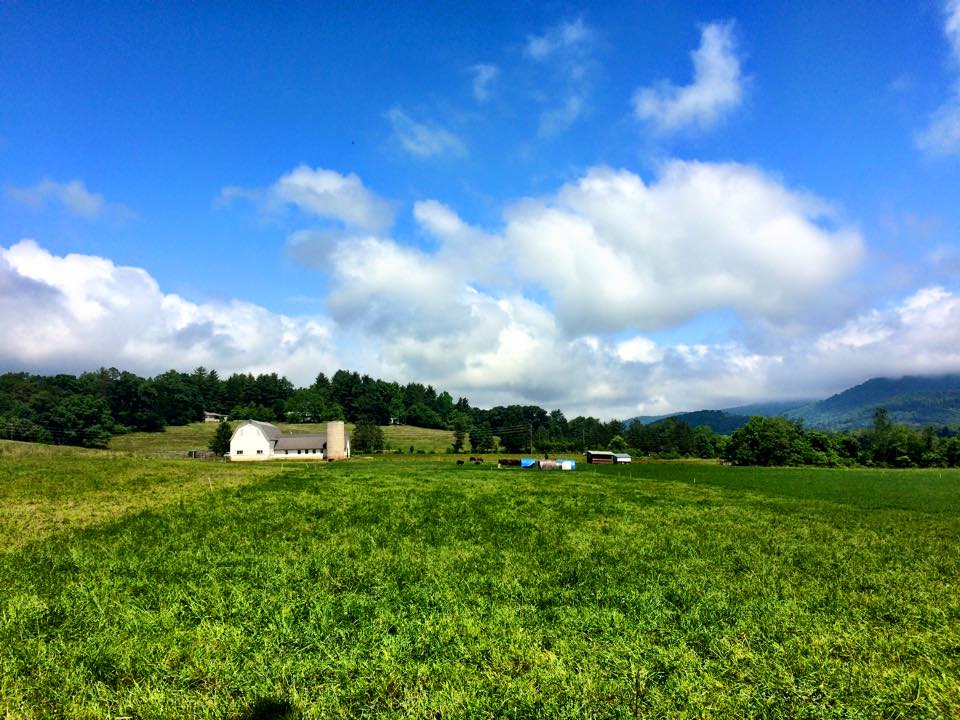 White Barn Farm