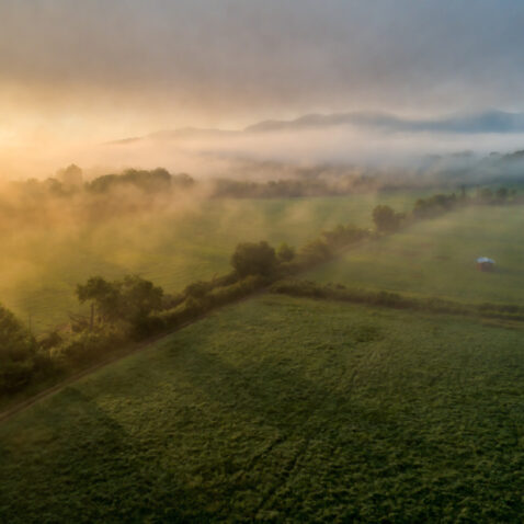 Golden Sunrise