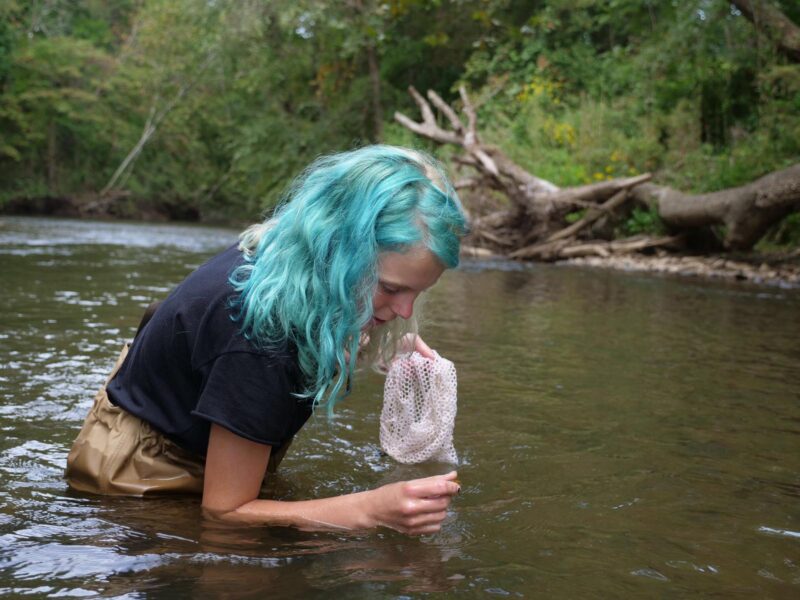 A student collects samples from the Swannanoa river while standing in it